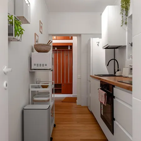 Magheru 9th Stylish 1br Lejlighed